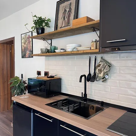 Tirana Apartment Apartment *